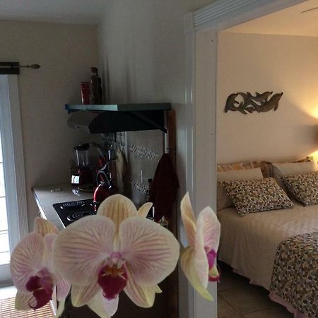 Mediteranean Style Ohana Rental / Garden Bungalow In Pahoa Honolulu Landing المظهر الخارجي الصورة