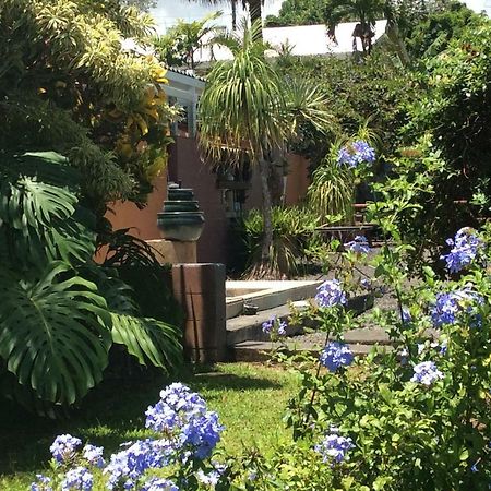 Mediteranean Style Ohana Rental / Garden Bungalow In Pahoa Honolulu Landing المظهر الخارجي الصورة