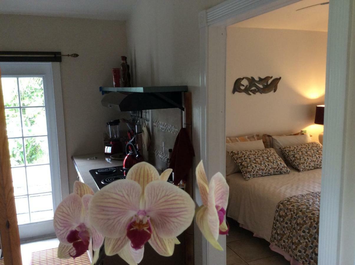 Mediteranean Style Ohana Rental / Garden Bungalow In Pahoa Honolulu Landing المظهر الخارجي الصورة