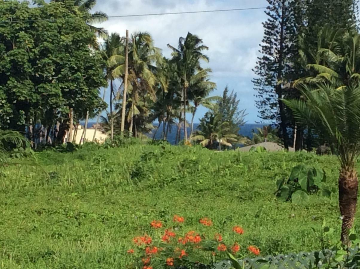 Mediteranean Style Ohana Rental / Garden Bungalow In Pahoa Honolulu Landing المظهر الخارجي الصورة