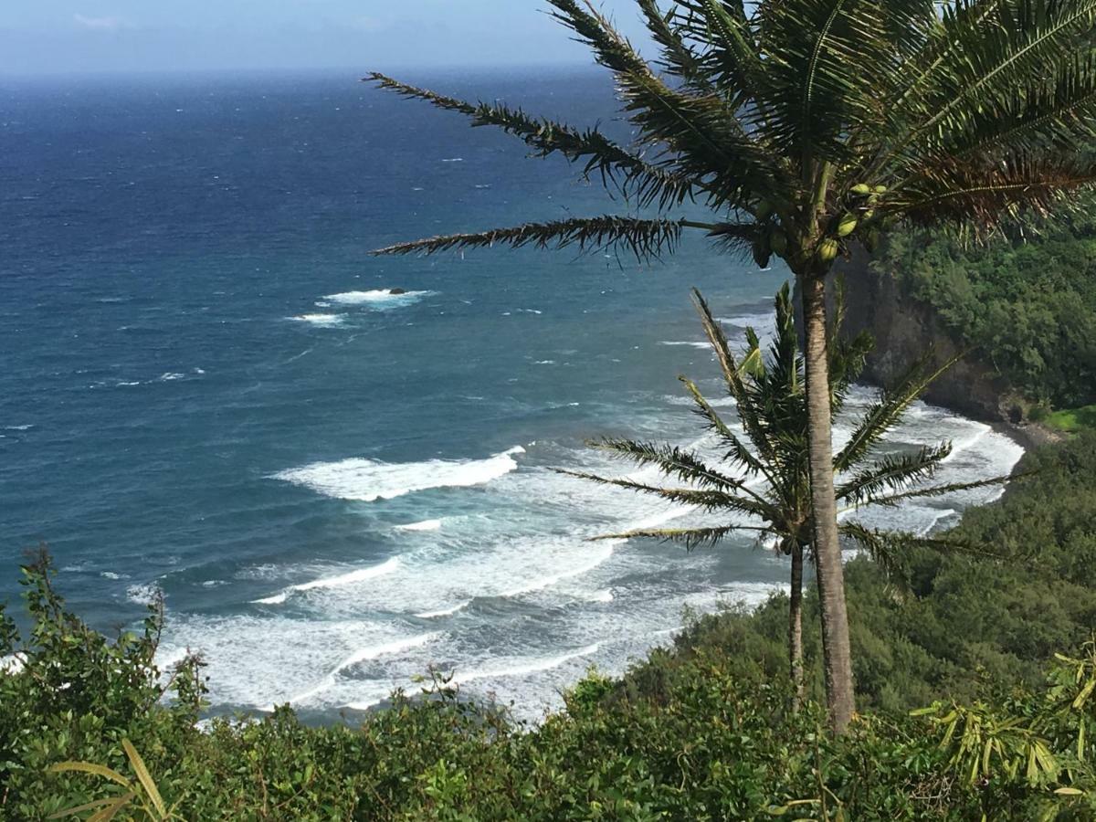 Mediteranean Style Ohana Rental / Garden Bungalow In Pahoa Honolulu Landing المظهر الخارجي الصورة