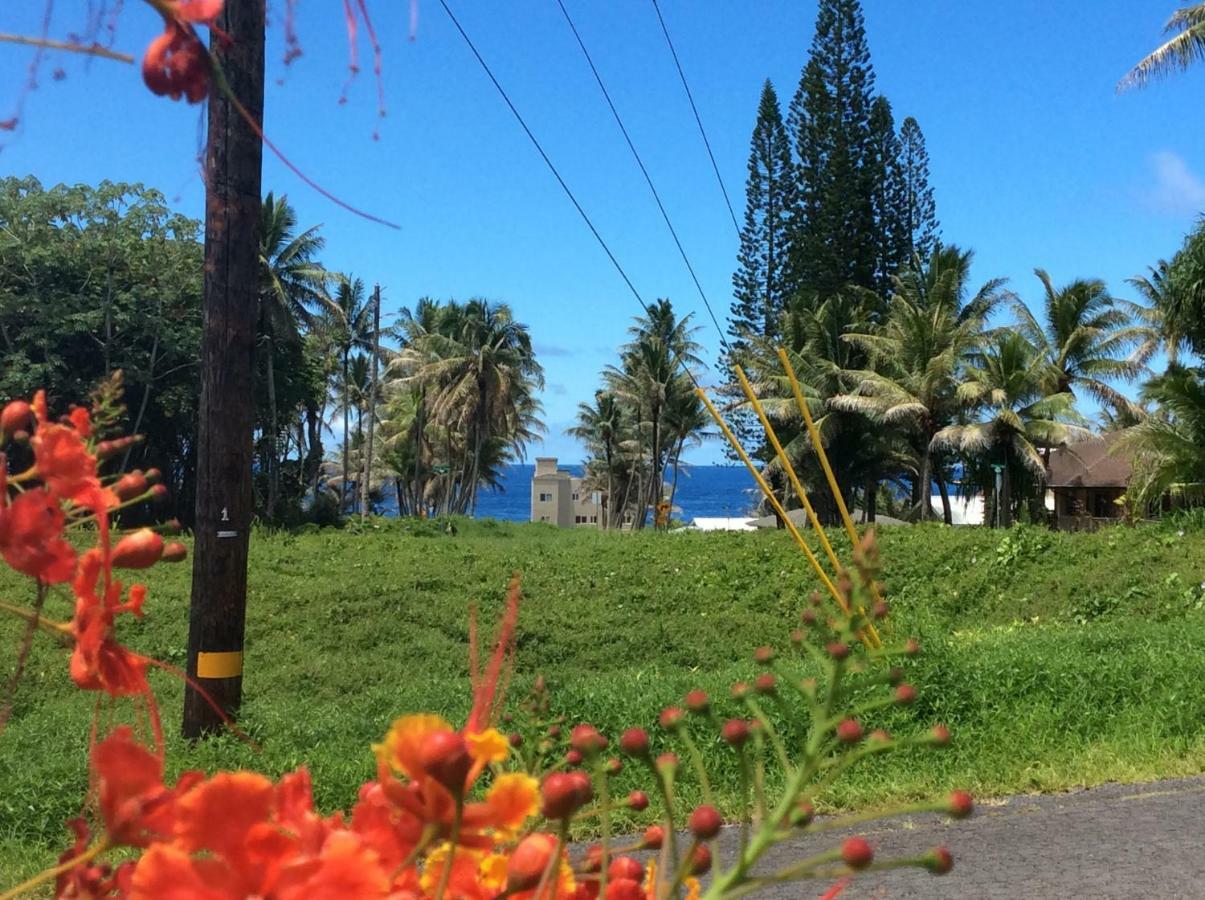 Mediteranean Style Ohana Rental / Garden Bungalow In Pahoa Honolulu Landing المظهر الخارجي الصورة